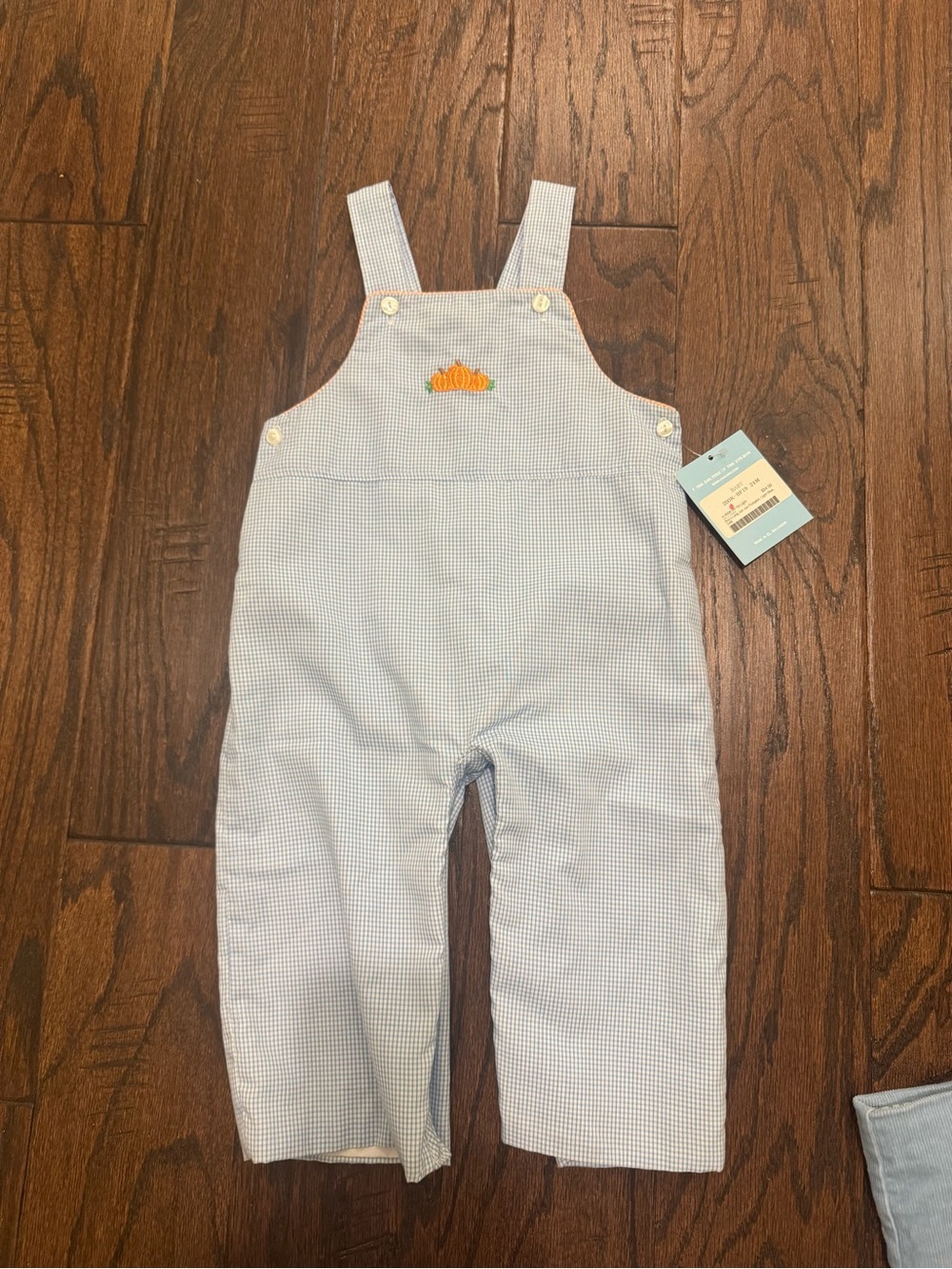 Light Blue Gingham Kids Overalls with Pumpkin Detail